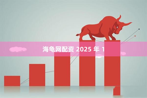 海龟网配资 2025 年 1