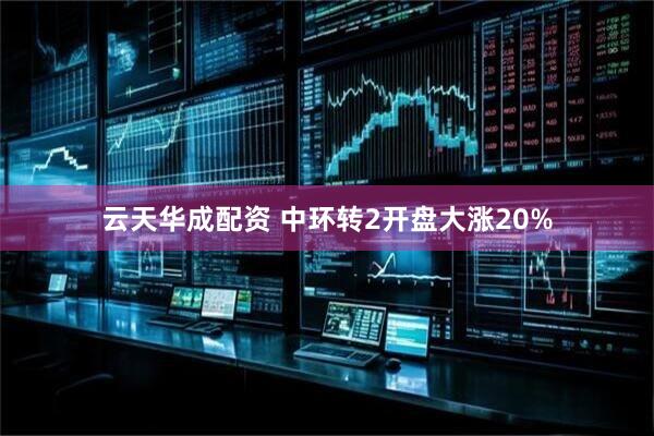 云天华成配资 中环转2开盘大涨20%
