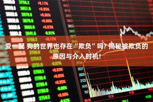 爱一配 狗的世界也存在“欺负”吗? 揭秘被欺负的原因与介入时机!