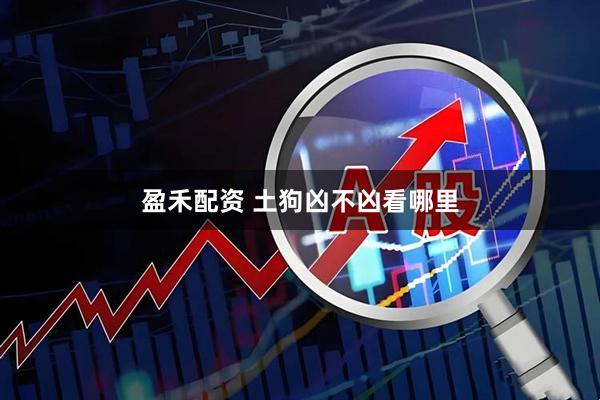 盈禾配资 土狗凶不凶看哪里
